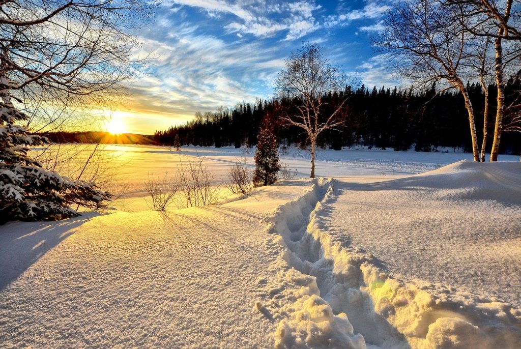 Frosts are retreating: forecasters predict warming