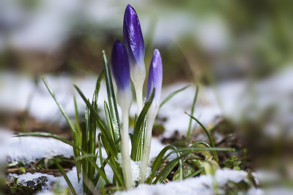 Two cold nights ahead, followed by warming with precipitation