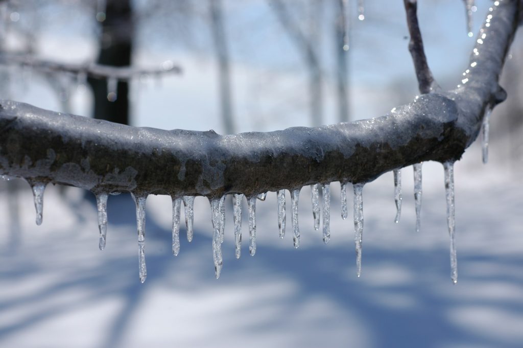 Severe frosts are coming to Ukraine: where will it hit hardest?