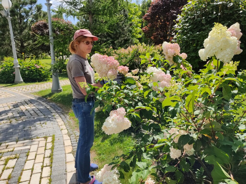 Як доглядати за садом та згущати сосну: Марина Порошенко показала майстер-клас
