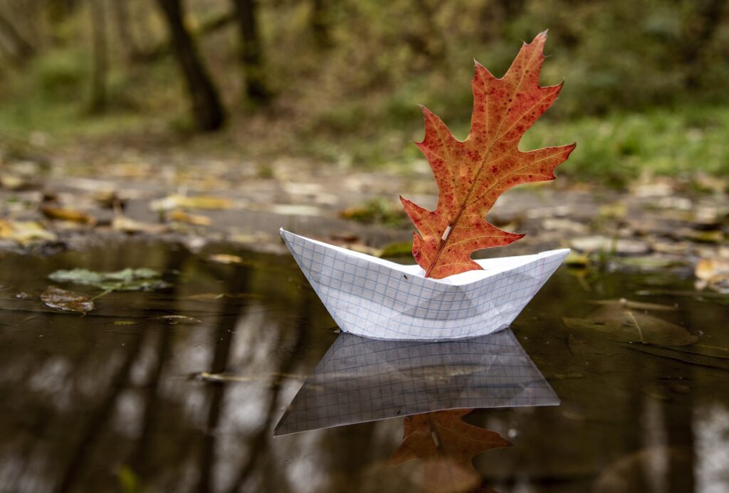 Rain, fog and sharp temperature drops: weather forecast for November