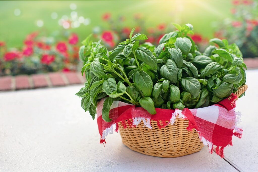 Вчені назвали продукт, який сповільнює хворобу Альцгеймера
