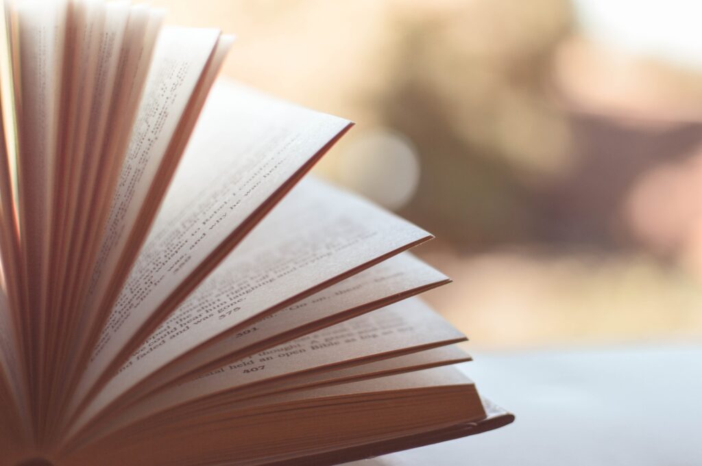 За порушення авторських прав: американський суд оштрафував український книжковий проєкт на 7,8 мільйона доларів