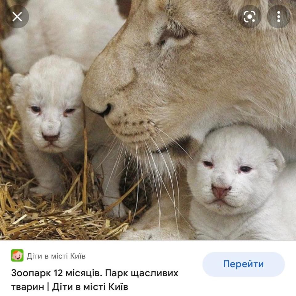 На Київщині окупанти заблокували допомогу приватному зоопарку, прирікаючи на смерть тварин – Сюмар