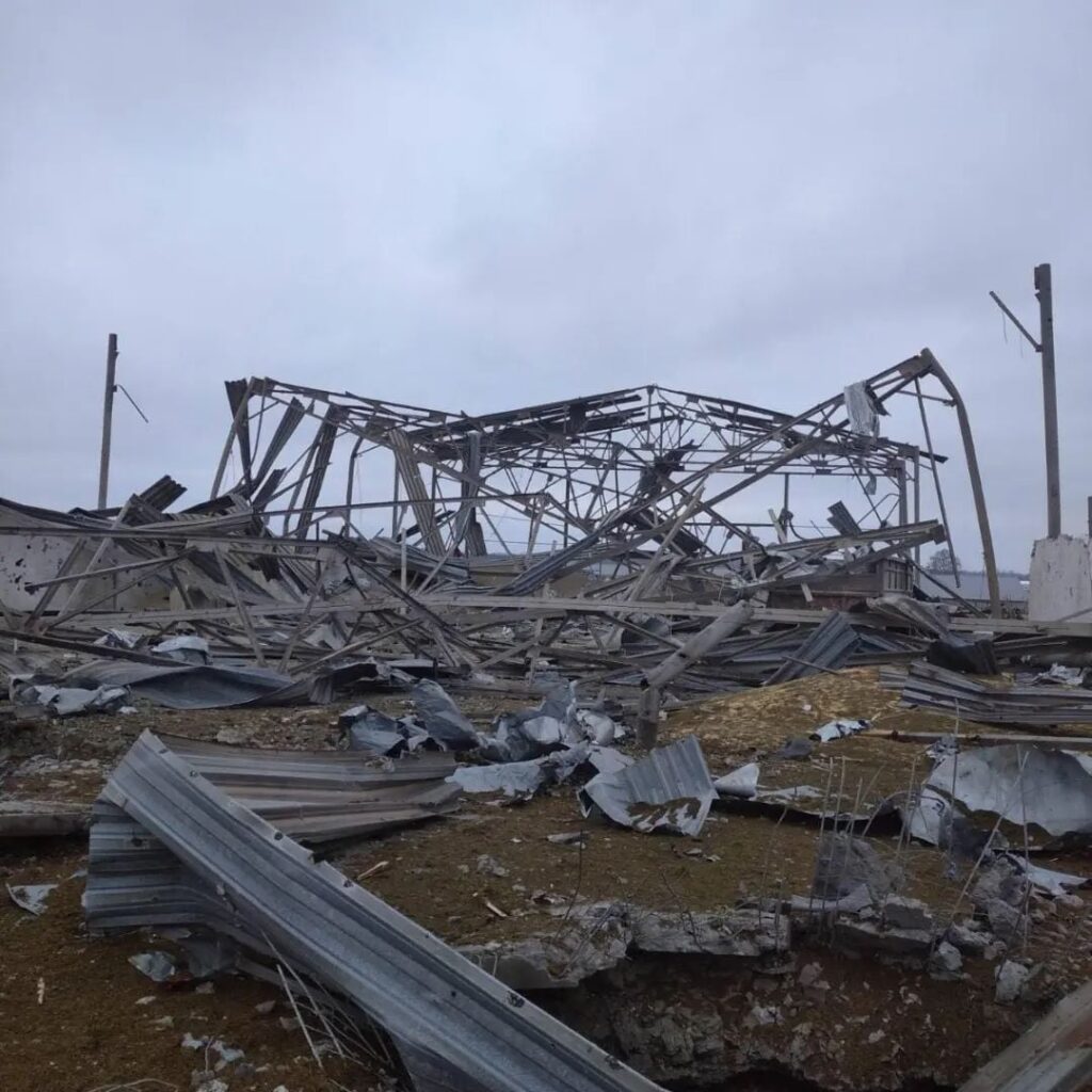 Зоозахисники повідомили про обстріл російськими військами молочної ферми на Харківщині