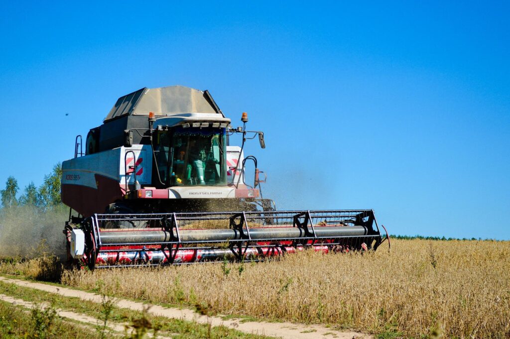 Six regions of Ukraine suffer from drought: how will it affect the harvest