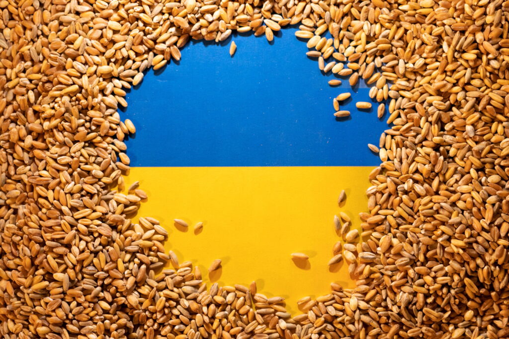 «Грабят дважды»: стало известно о «схеме» продаж украинской пшеницы в рамках «Зернового соглашения»