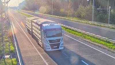 В Україні відновили зважування  вантажних автомобілів: кого та коли штрафуватимуть