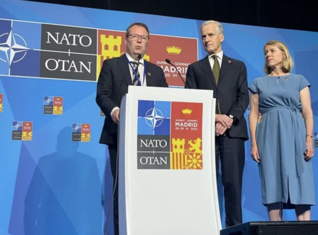 Норвегія передасть Україні РСЗВ