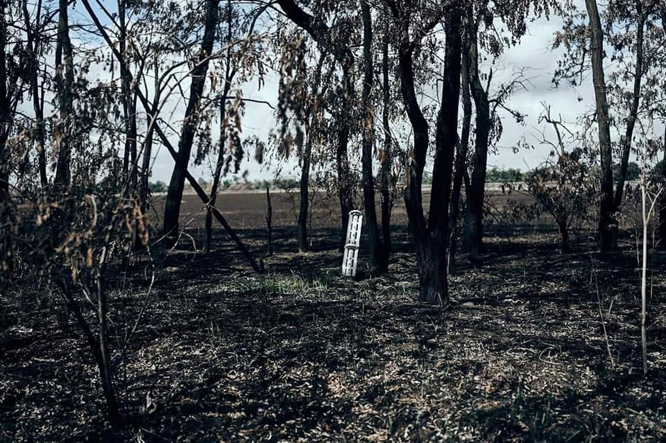 Під Ізюмом знайшли масове заховання українських військових