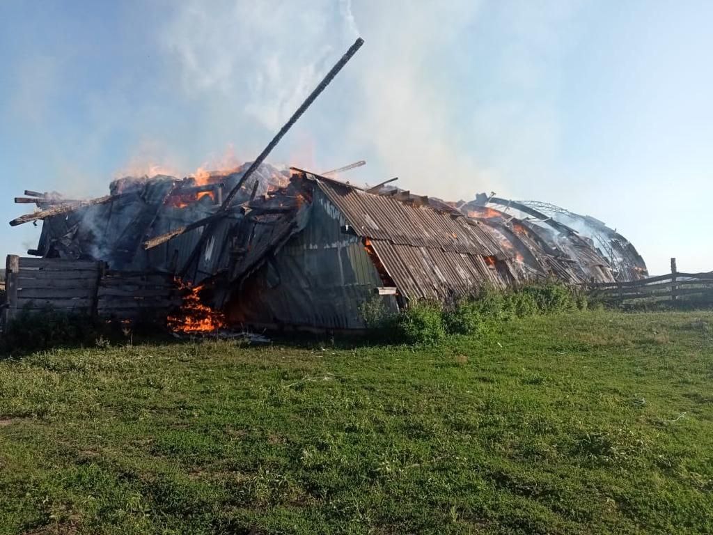 Росіяни обстріляли Сумщину: загинула людина, є поранені