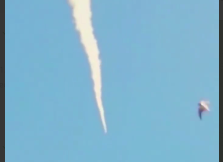 Сухопутні війська ЗСУ збили російський безпілотник “Орлан-10”: відео