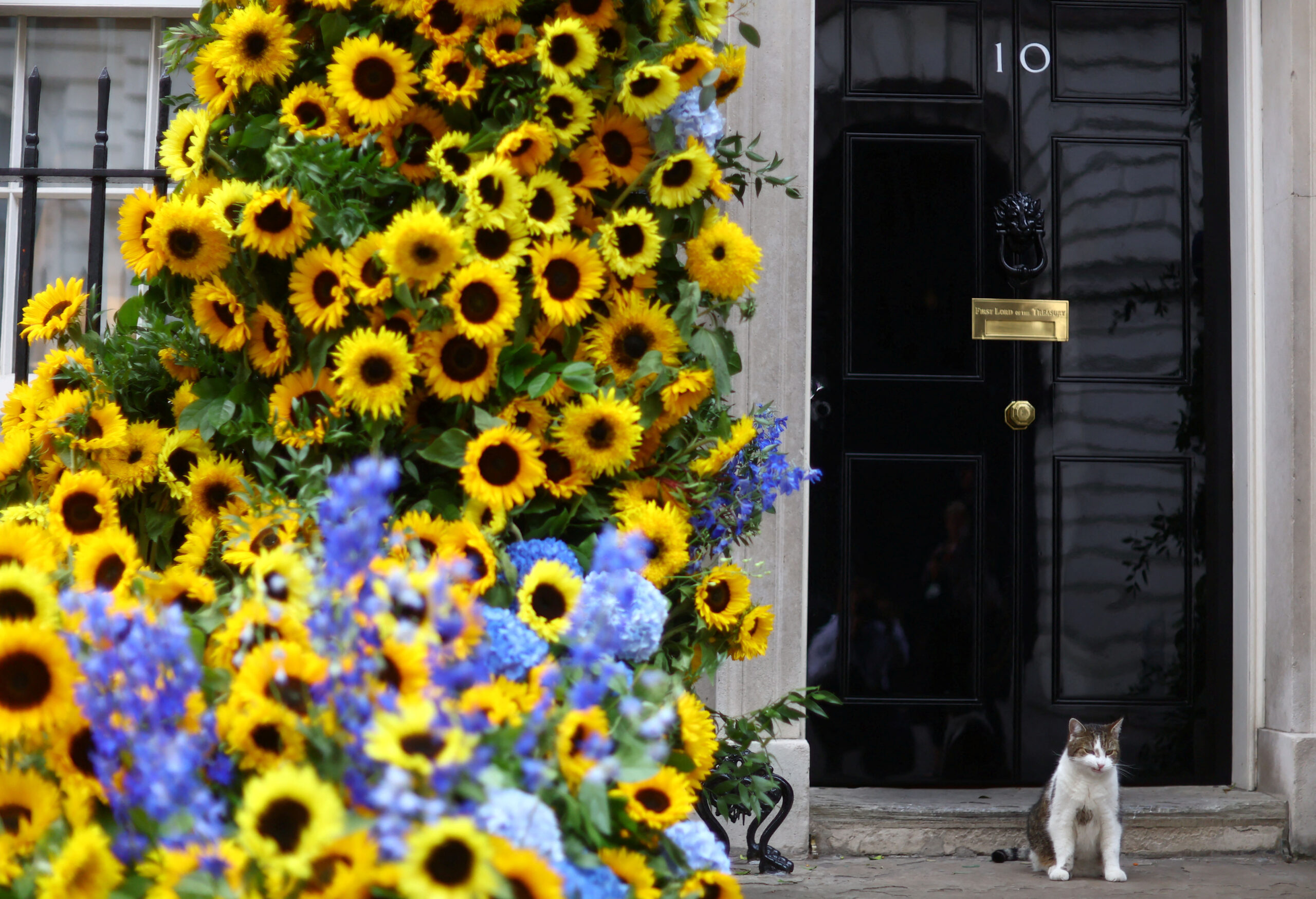 Фото: Reuters