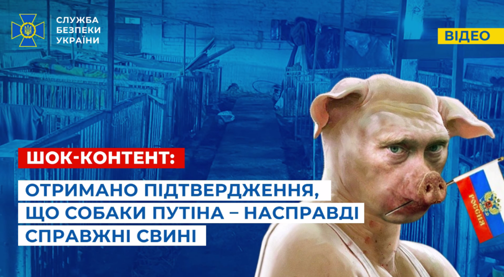 В окупованій Любимівці російськи окупанти спали та харчувались зі свинями: відео від СБУ