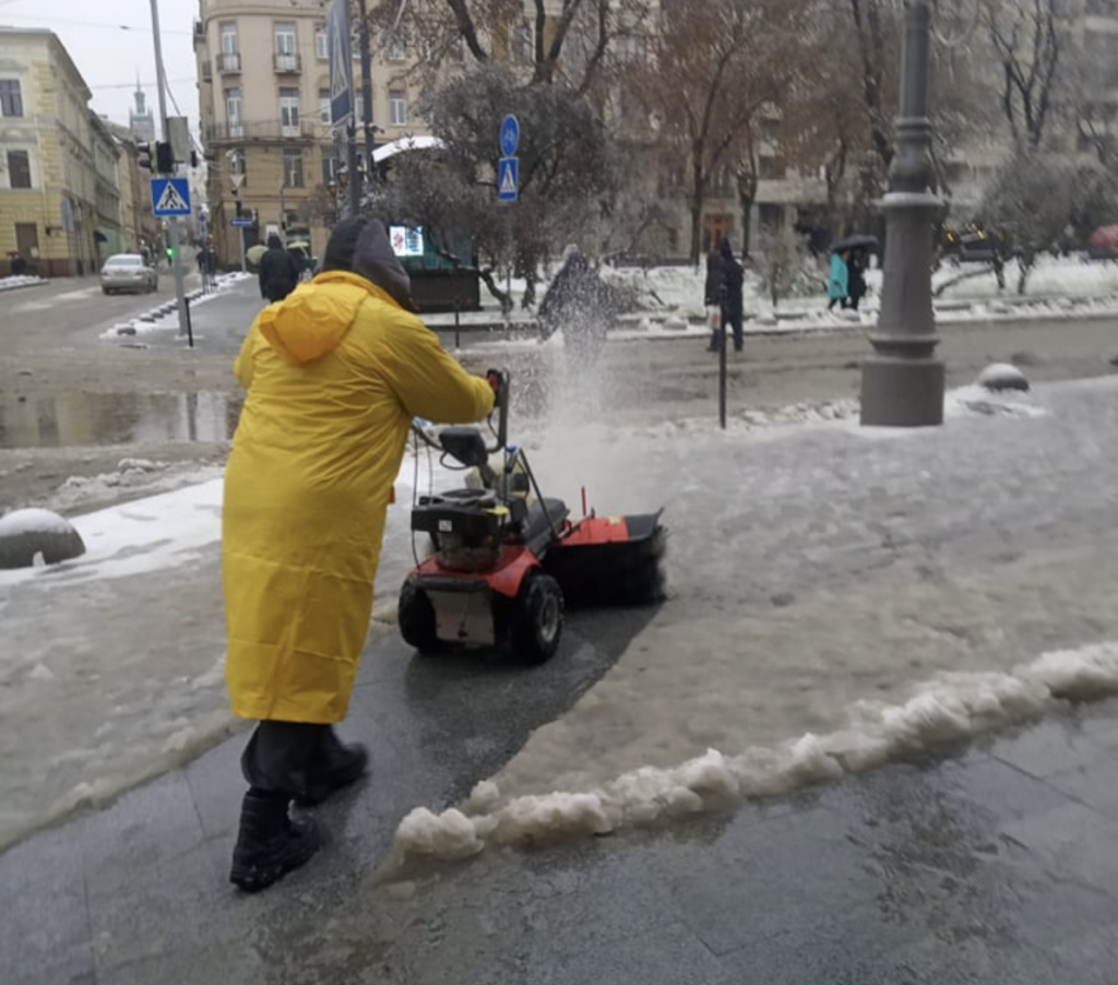 У Львові через негоду впало понад сто дерев
