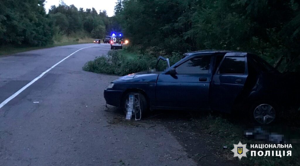 Втратив керування та злетів у кювет: на Вінничині сталася смертельна ДТП