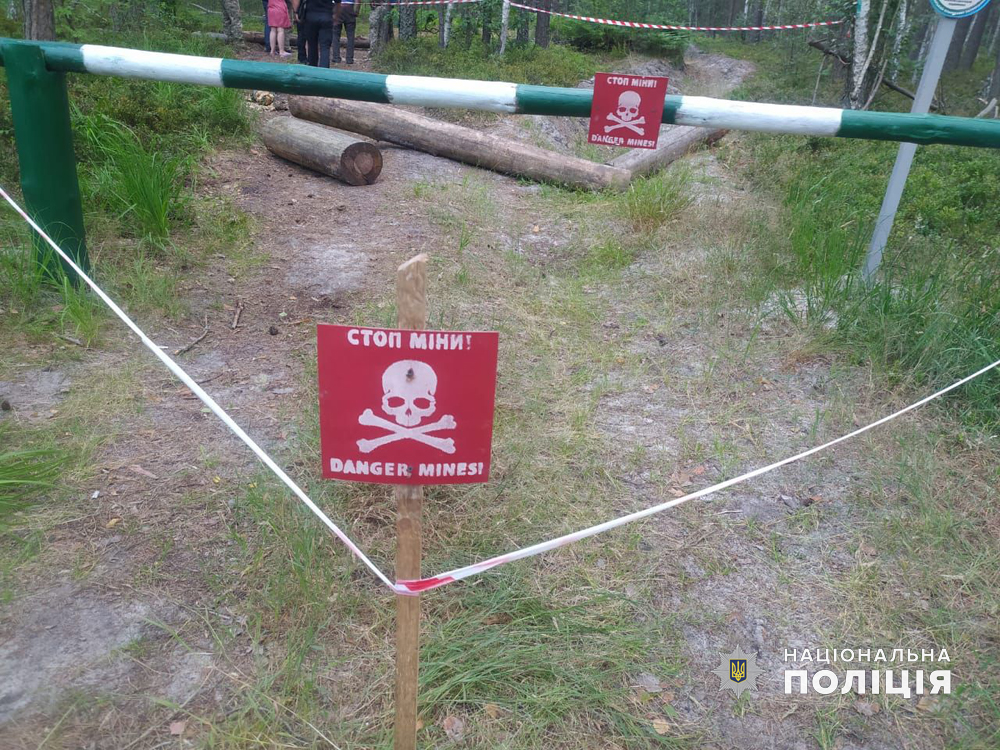 На Житомирщині автомобіль підірвався на міні: водій загинув