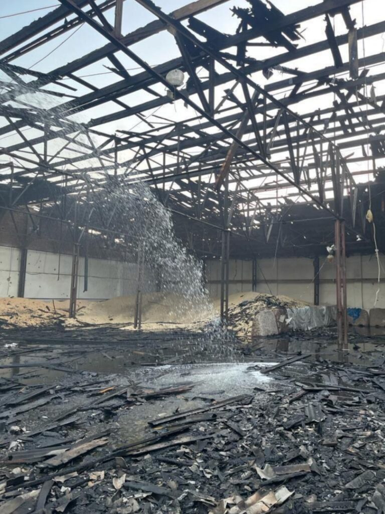 Росіяни знищили 13 тисяч тонн зерна в порту Ізмаїла