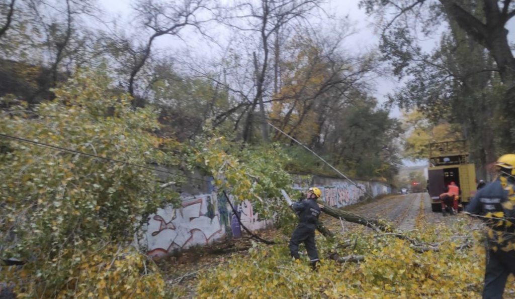 В Киеве из-за непогоды повалено или повреждено почти 600 деревьев