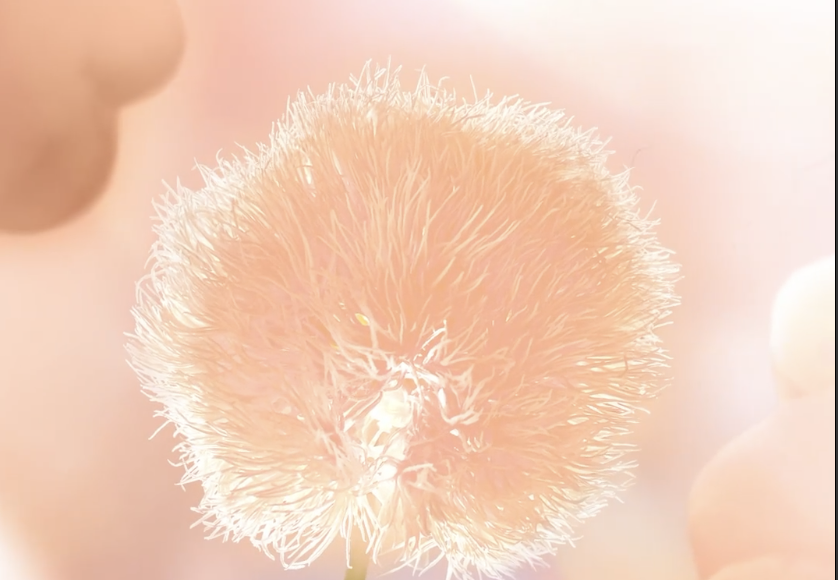Peach Fuzz: Pantone назвав головний колір 2024 року