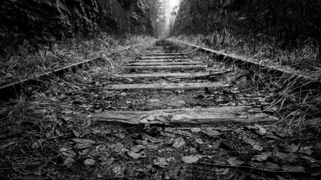 Sabotage on the Trans-Siberian: Ukrainian special services stopped North Korean weapons supplies to Russia