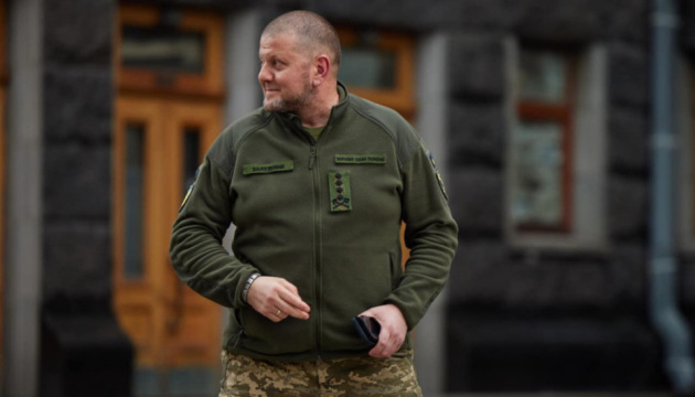 Якщо Залужного звільнять: як діяти далі?