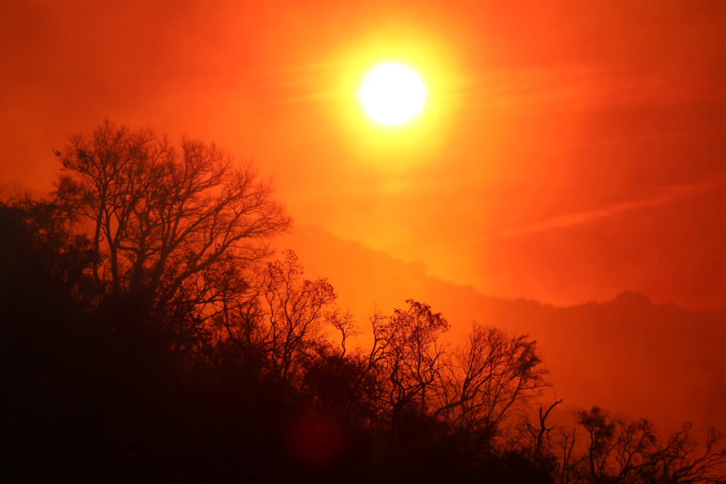 Five billion dead, snow for decades and a world without the sun: scientists have named the consequences of the start of a nuclear war