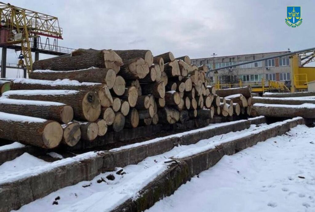 Вирубили дуби у Чорнобильському заповіднику на 59 мільйонів гривень: правоохоронці ліквідували злочинну групу “чорних лісорубів”