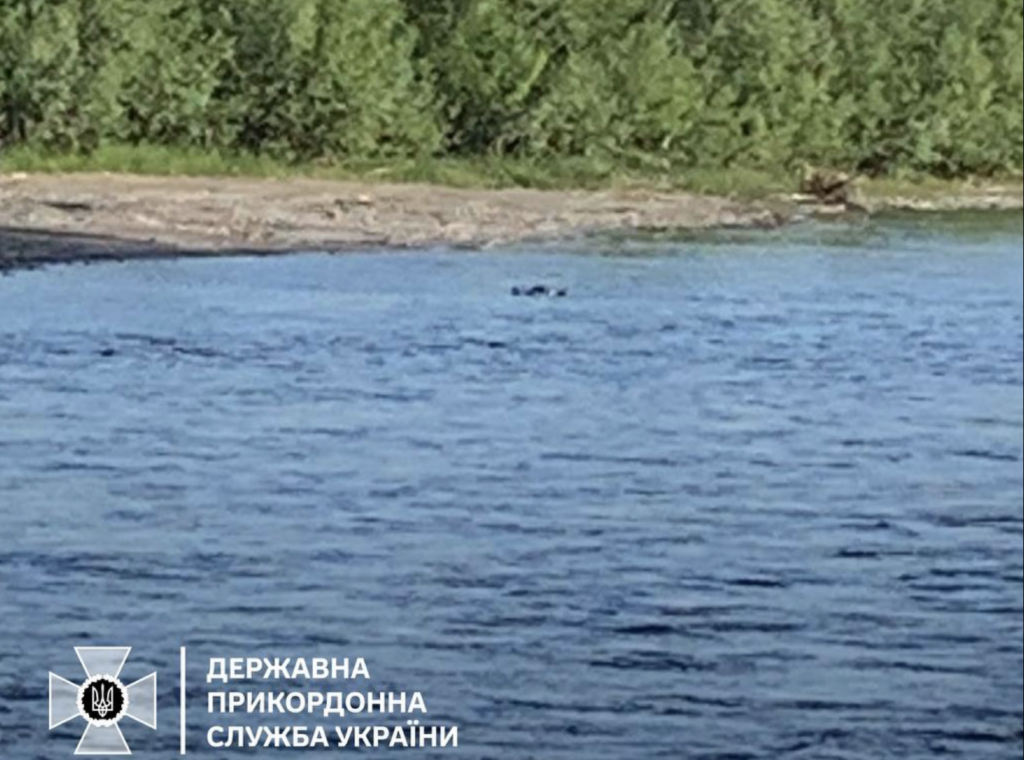 На березі Тиси виявили тіло чоловіка – ДПСУ