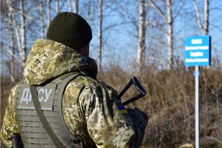 Ведмедиця завадила киянину незаконно перетнути кордон з Румунією: деталі курйозного випадку