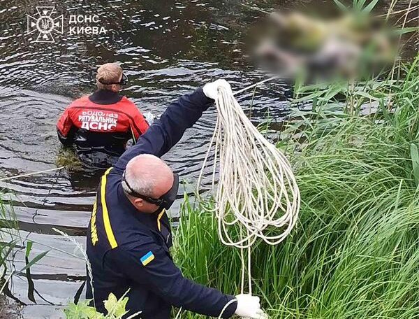 З озера в Києві дістали тіло людини