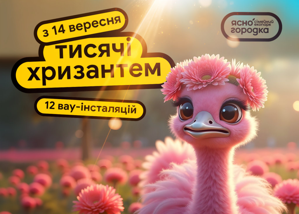 Знаки Зодіаку з десятків тисяч хризантем: у «Сімейному екопарку «Ясногородка» стартує виставка квітів