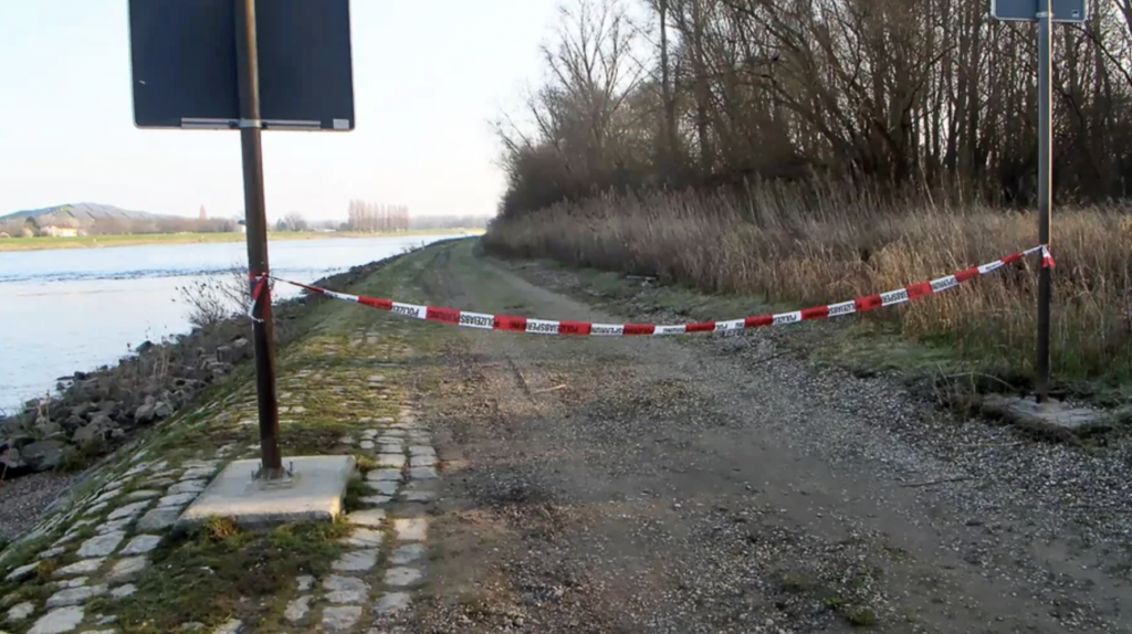 В Германии супружеская пара убила двух украинок и похитила младенца