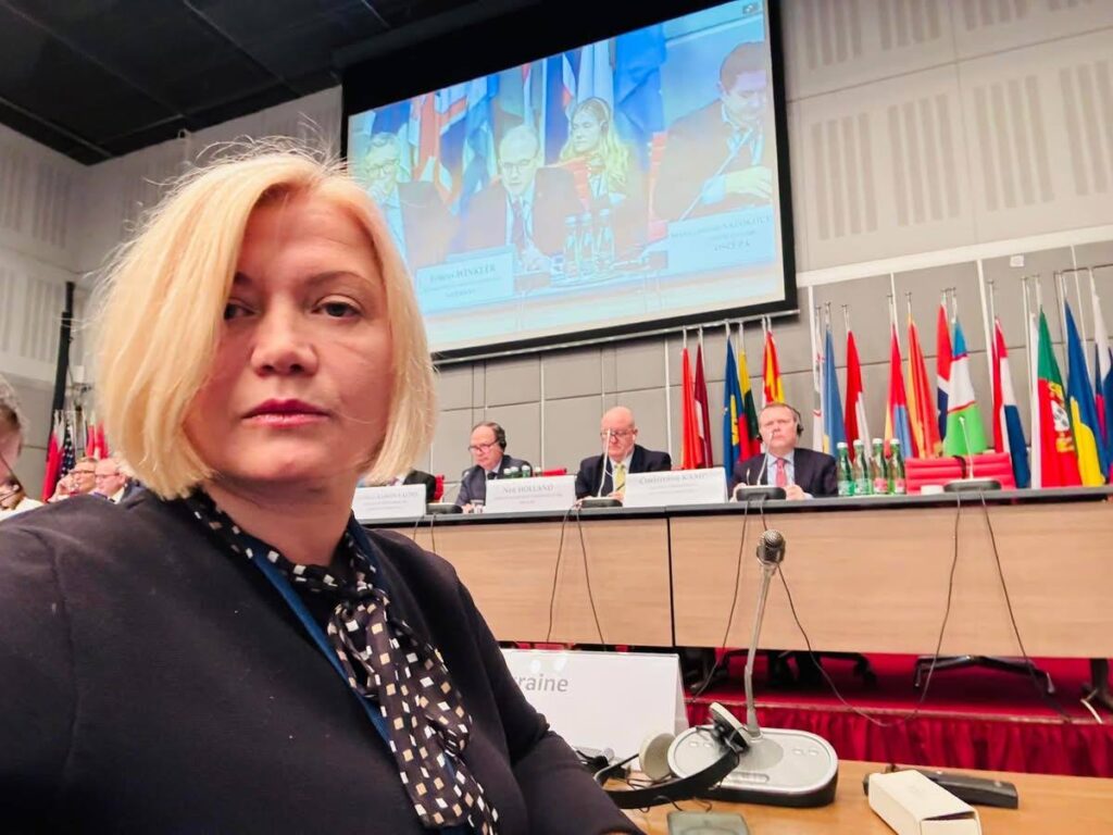 Україна та майбутнє миру: жодних компромісів щодо суверенітету та територіальної цілісності