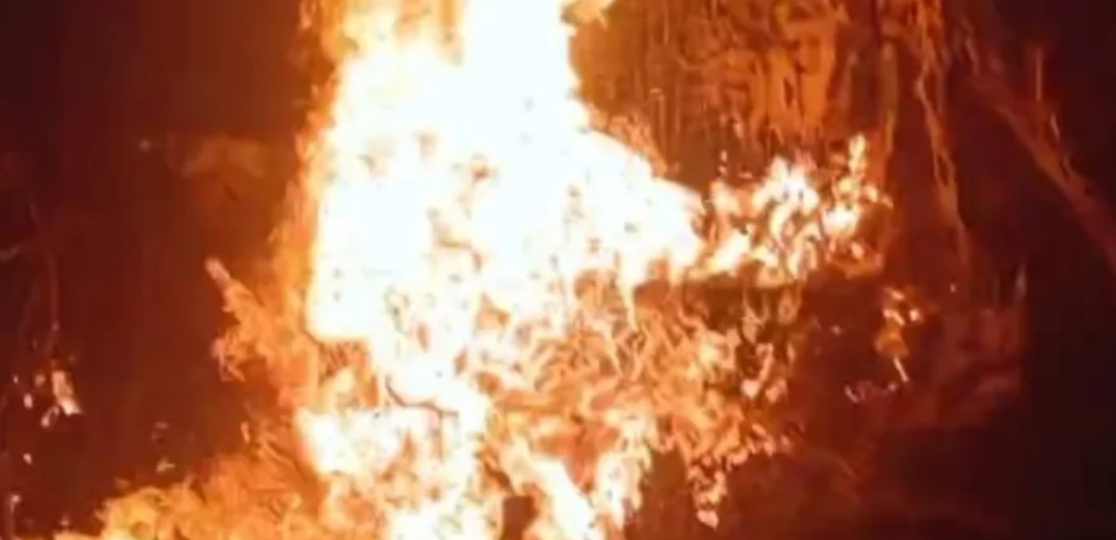 Партизани знищили російський танк на Донецькому напрямку