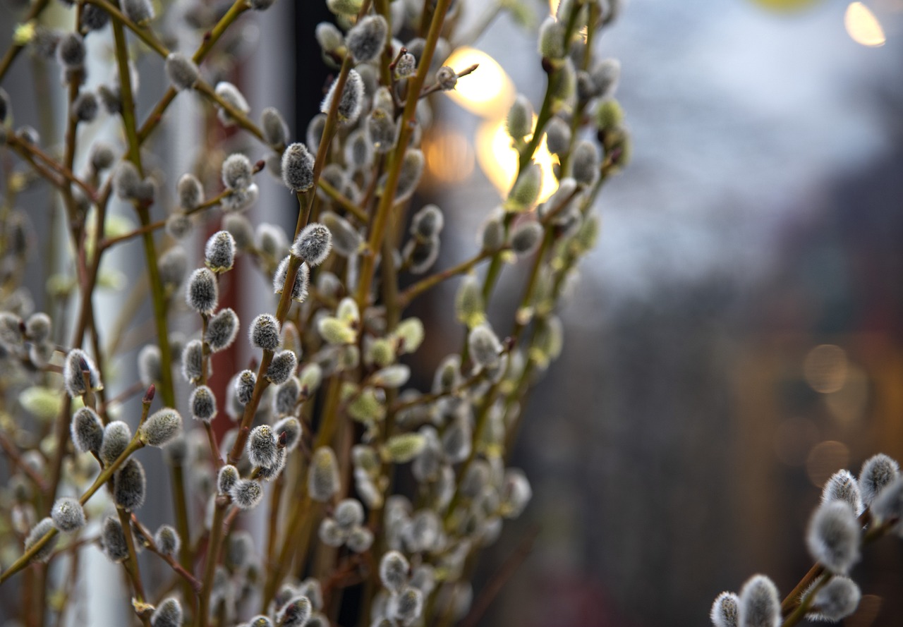 Що не можна робити у Вербну неділю