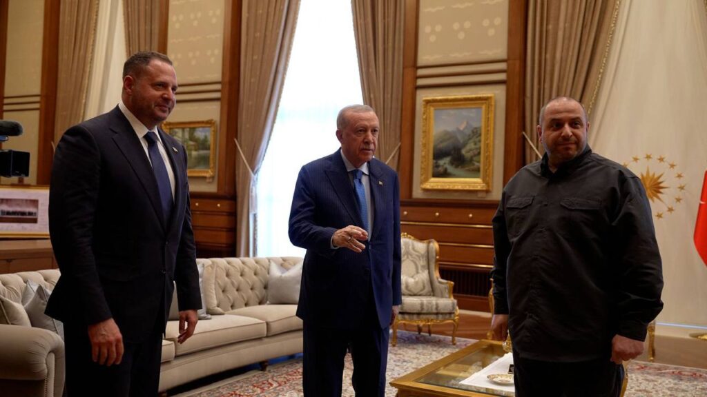 Ukrainian delegation held a meeting with Erdogan: what was discussed