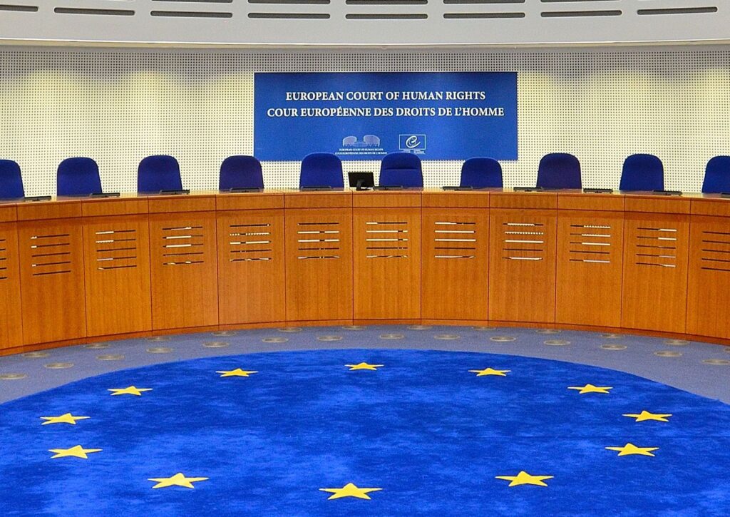 It became known what the Council of Europe Commissioner for Human Rights thinks about sanctions against Poroshenko