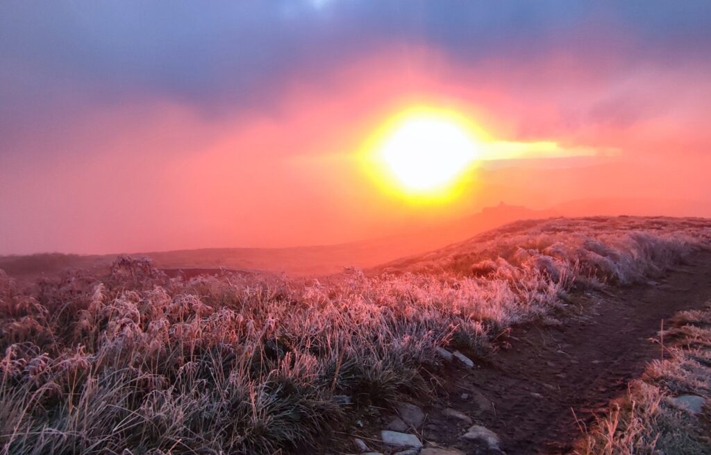 The first frost is approaching: forecasters warned of nighttime lows