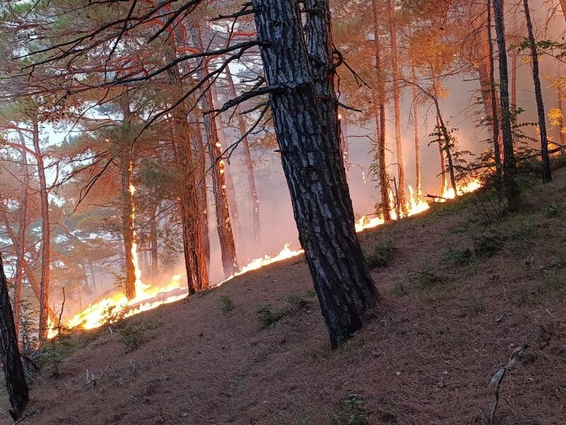 A fire broke out near Putin’s residence near Gelendzhik after a UAV hit