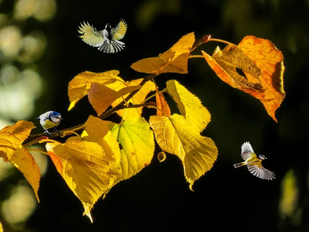 The last flash of summer: what will the weather be like this weekend?