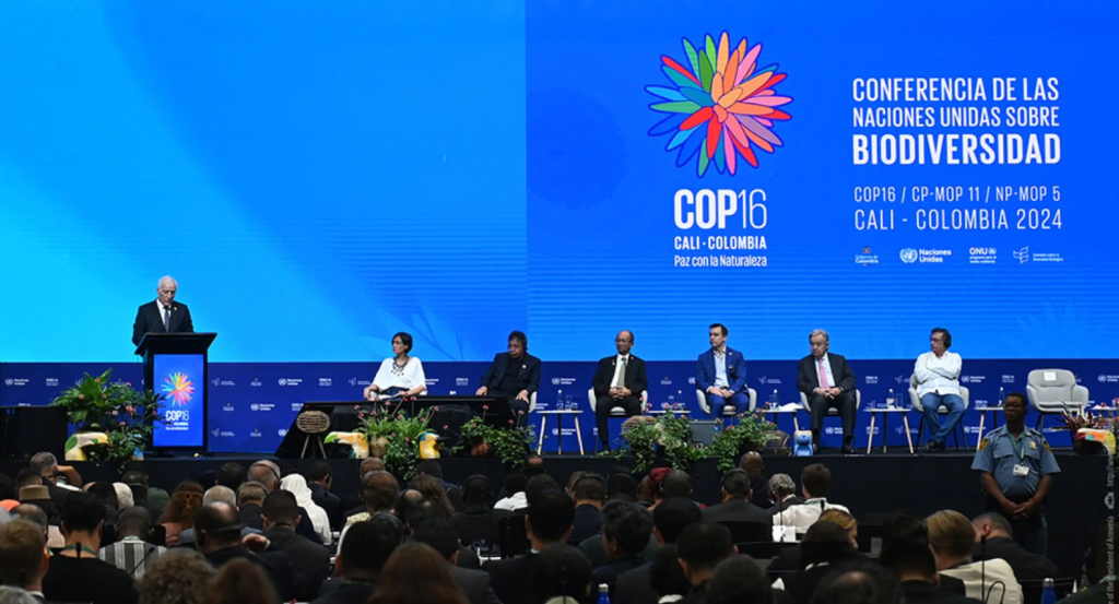 Армянские горы под угрозой: предупреждение ООН накануне COP 17