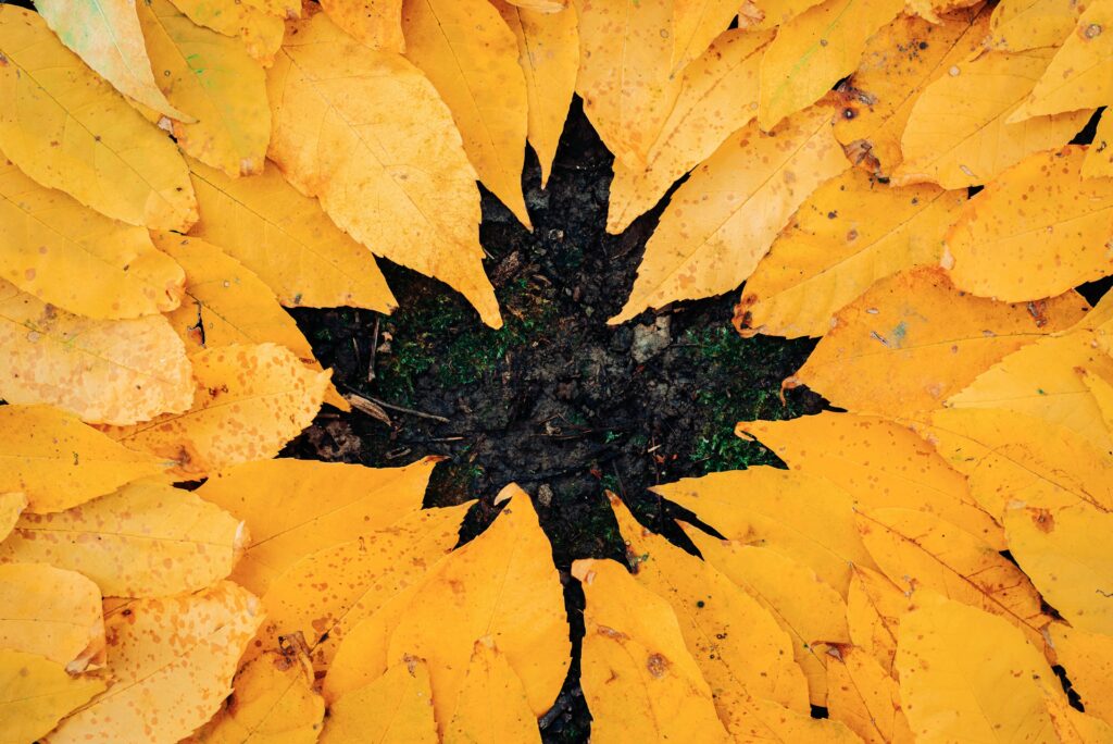 Warm or cold: what will the October weather be like in Ukraine?