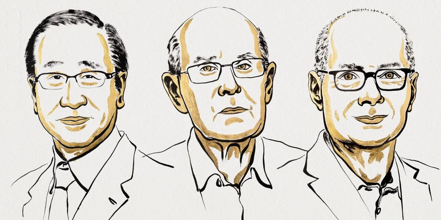 The Nobel Prize in Chemistry was awarded for the development of unique molecular structures