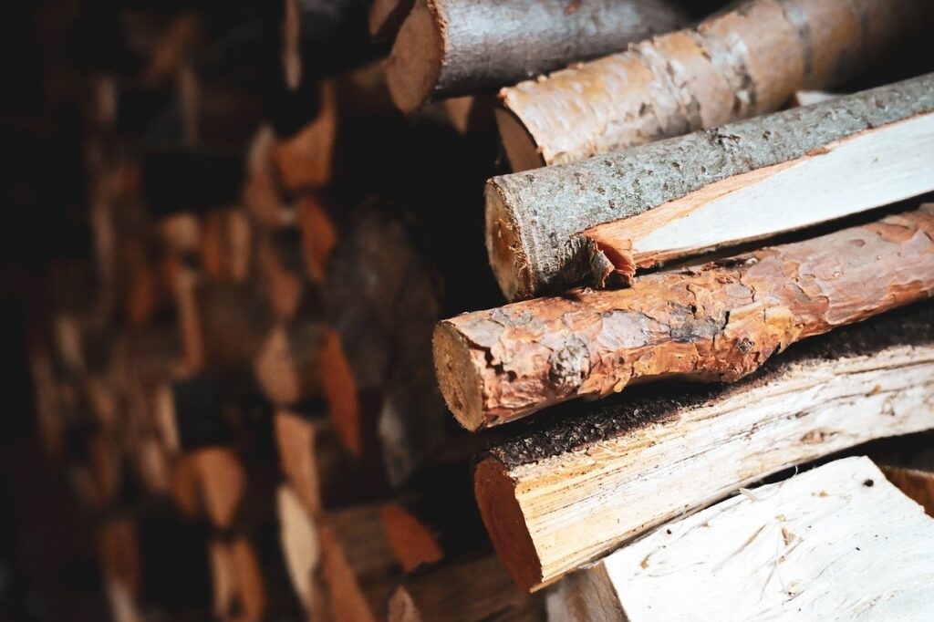Firewood without fines: how to legally harvest fuel in 2025