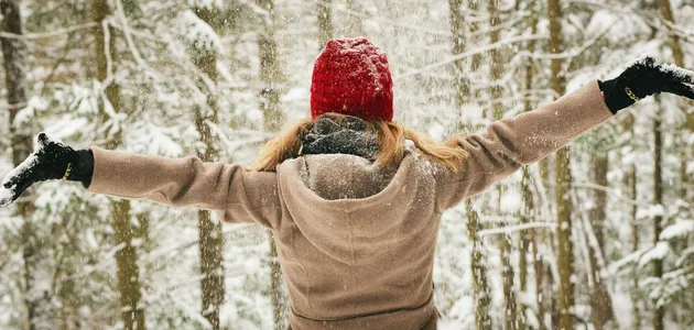 The snow is disappearing: why Ukraine will never see a real winter again