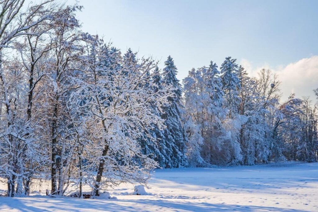 Winter is not retreating: frost grips part of Ukraine after temporary warming