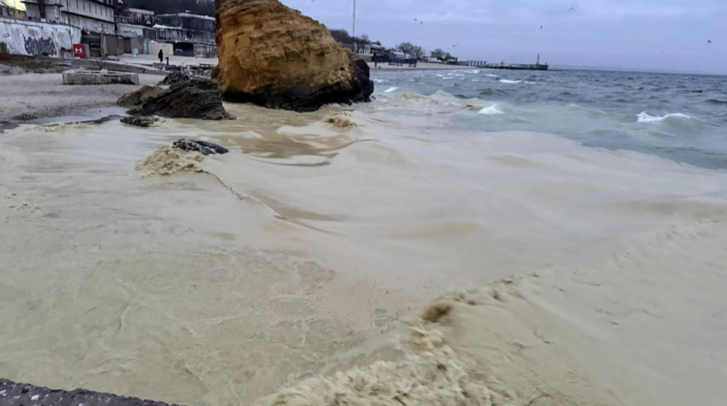 Oil spills and dead birds were found on Odessa beaches.