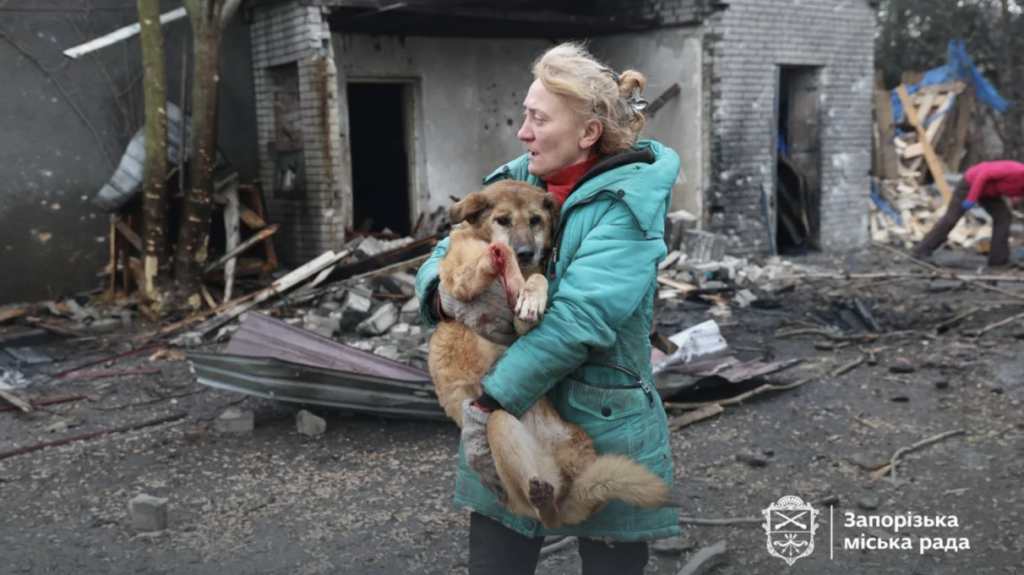 РФ вдарила по притулку для тварин у Запоріжжі