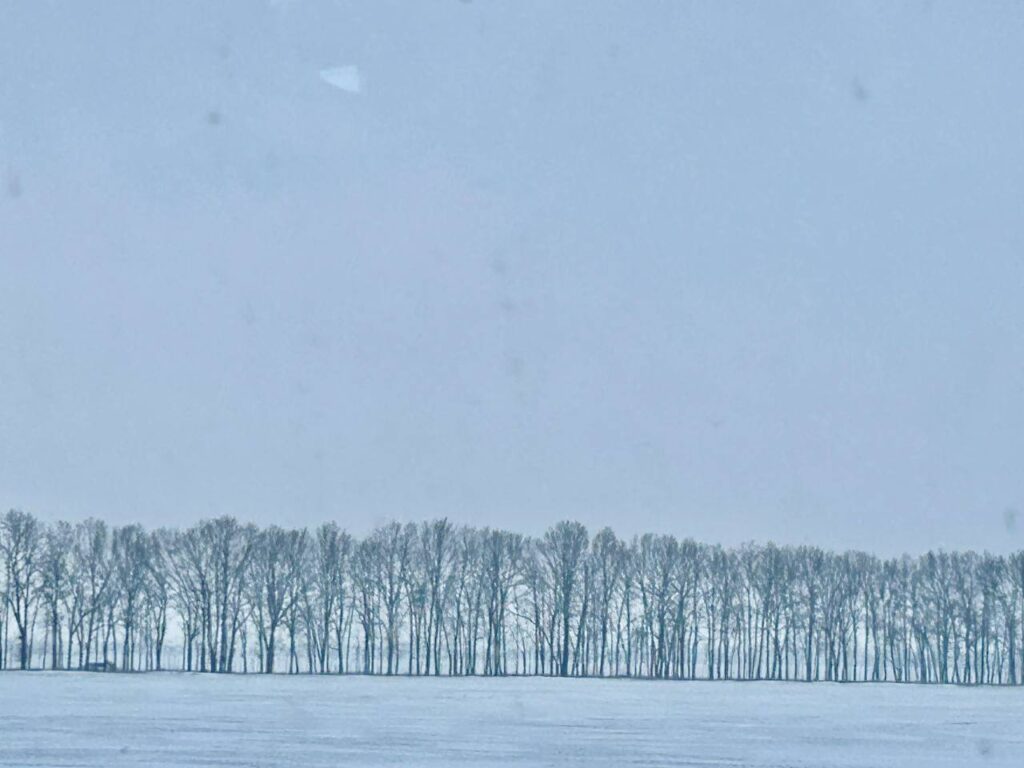 The period of bitter cold is receding: what will the weather be like in Ukraine on February 10